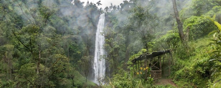 Materuni Waterfalls & Coffee Tour