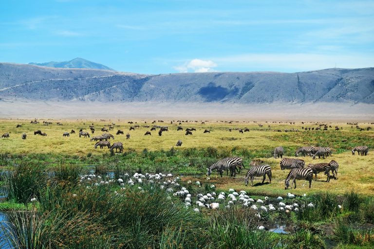 Ngorongoro-Crater by Tanzanari Adventures